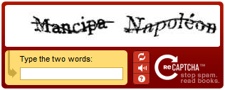 reCAPTCHA